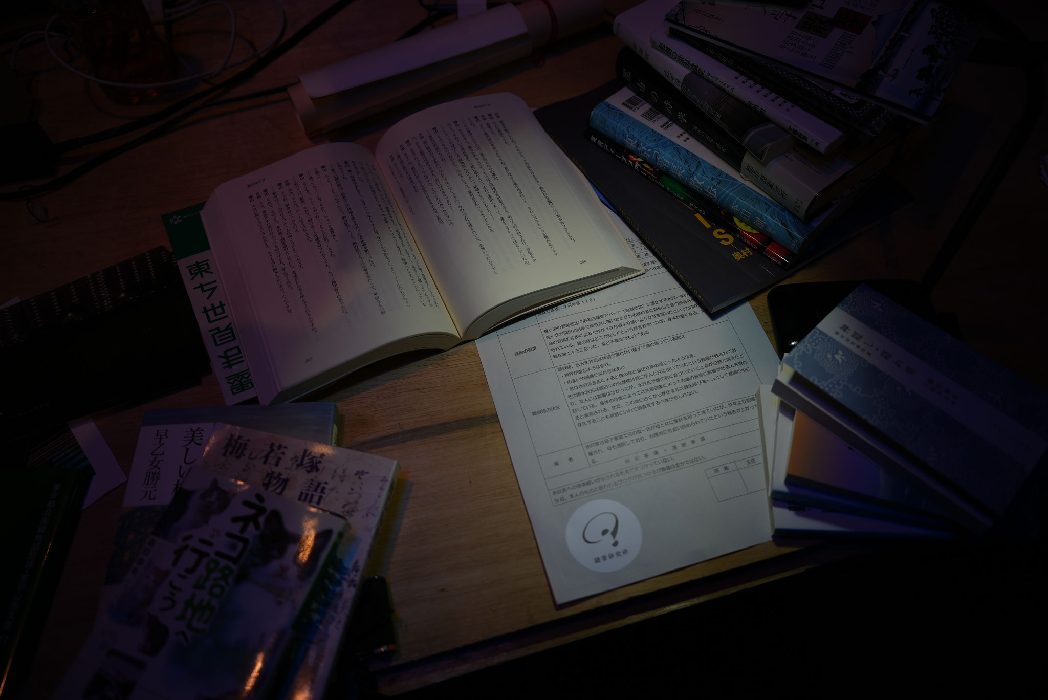 撮影：奥村健介