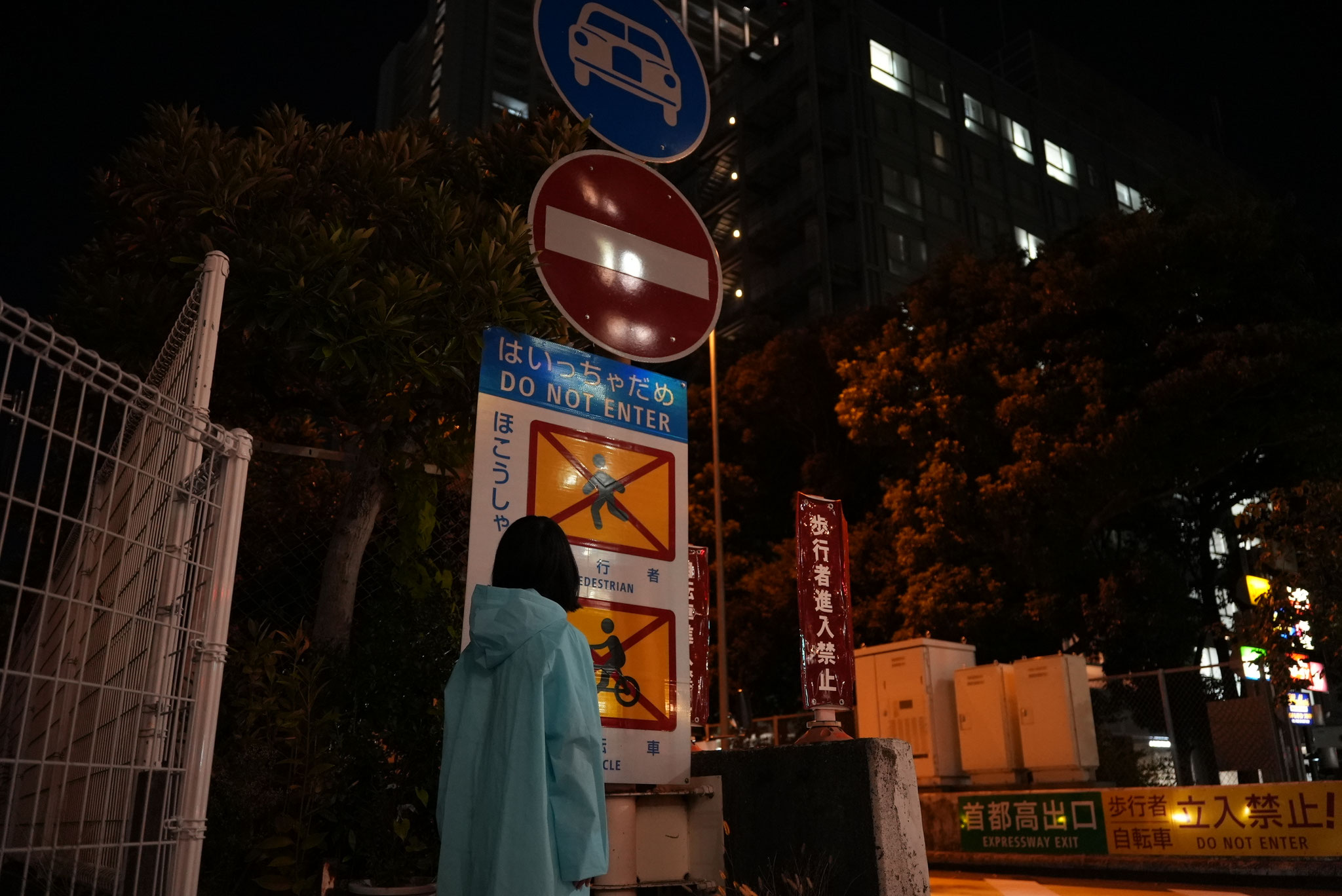 撮影：奥村健介