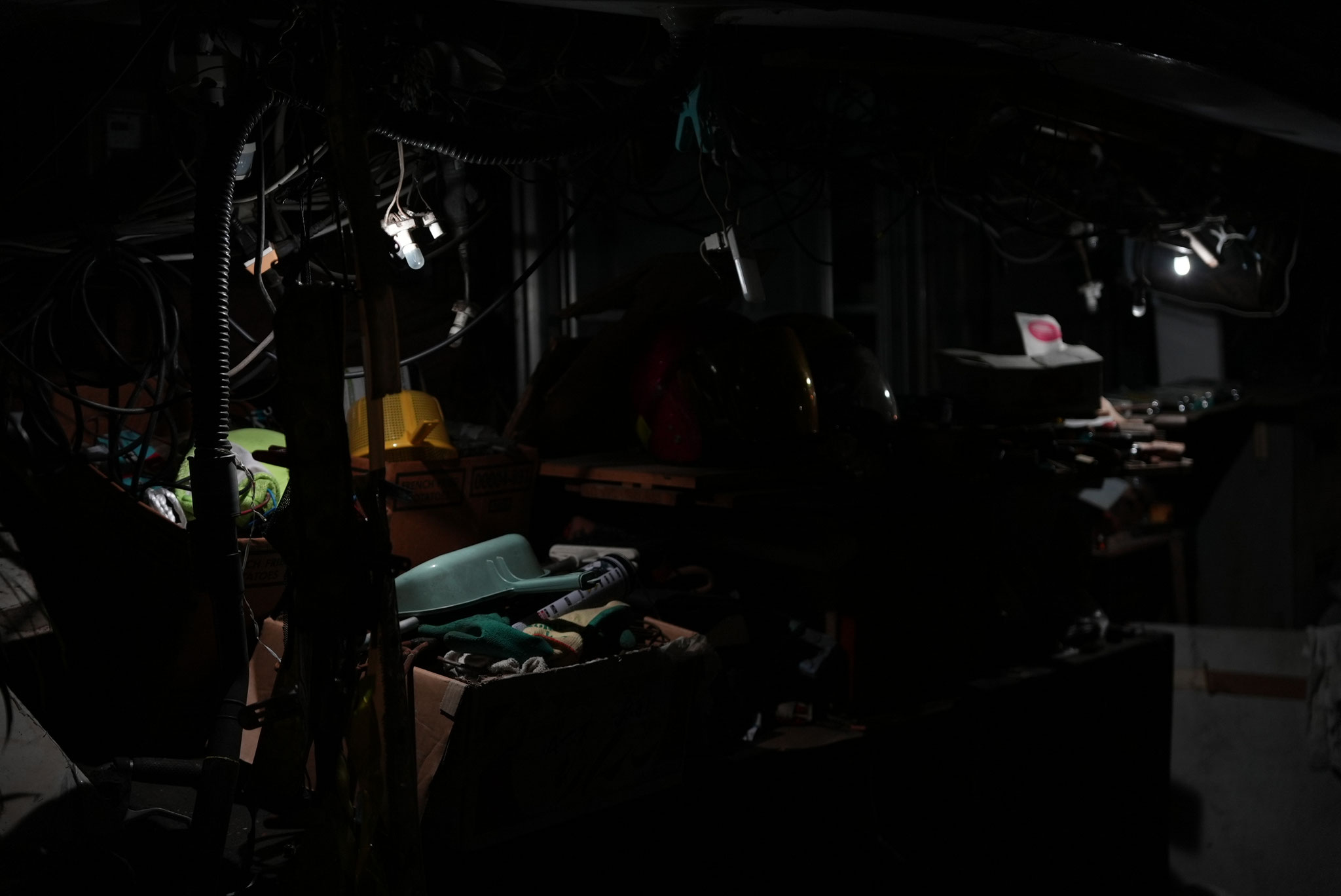 撮影：奥村健介